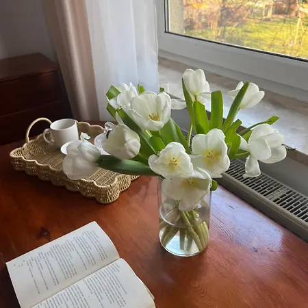 게스트하우스 Agapella Apartamemty- Agapella 250m From The 3*