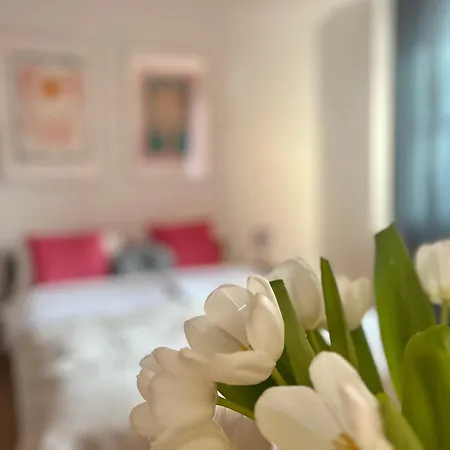 게스트하우스 Agapella Apartamemty- Agapella 250m From The 3*