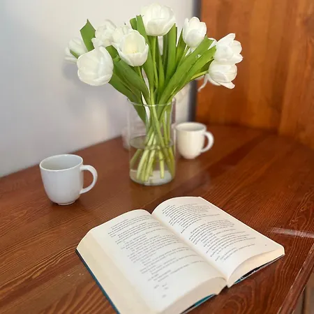 게스트하우스 Agapella Apartamemty- Agapella 250m From The 3*