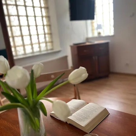 Agapella Apartamemty- Agapella 250m From The