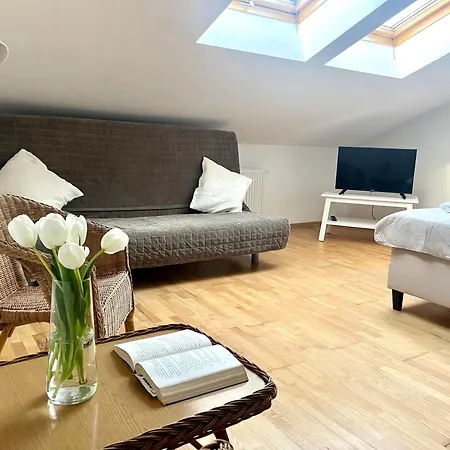 Guest house Agapella Apartamemty- Agapella 250m From The