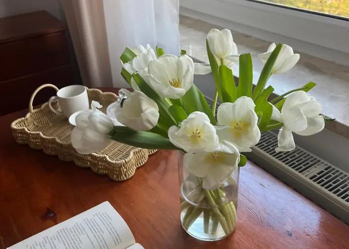 Gæstehus Agapella Apartamemty- Agapella 250m From The 3*