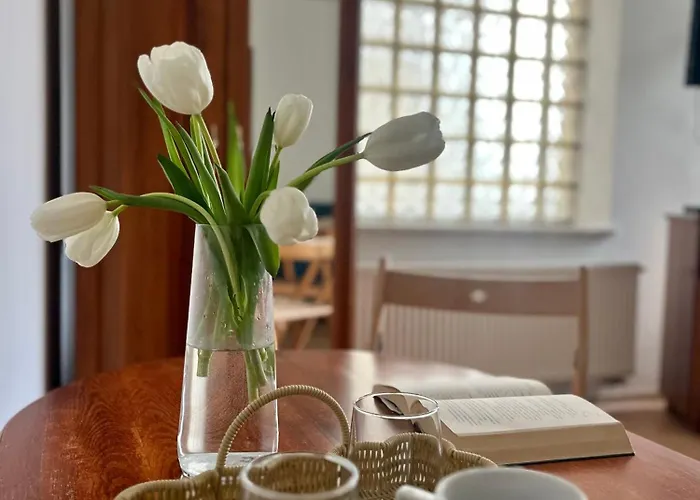 Affittacamere Agapella Apartamemty- Agapella 250m From The 3*